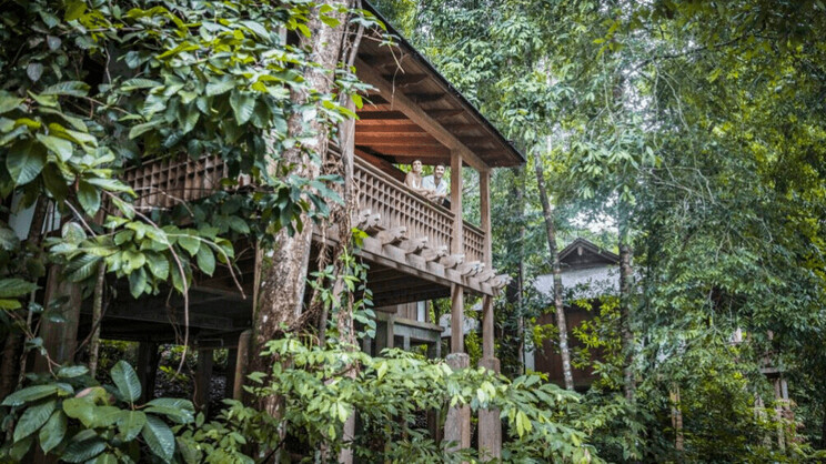  Rainforest Villa
